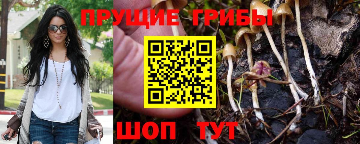 Псилоцибиновые грибы прущие грибы Нарткала