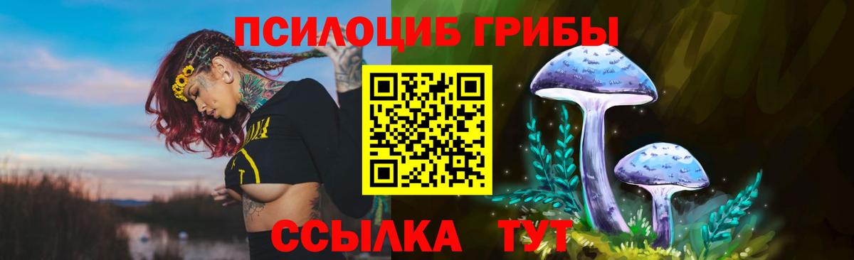 купить наркотик  Галлюциногенные грибы прущие грибы  Вход с VPN  Нарткала 